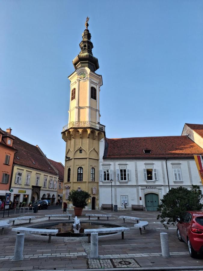 Apartment Kristall Real Bad Radkersburg Kültér fotó
