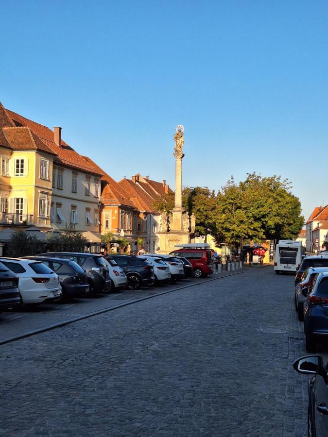 Apartment Kristall Real Bad Radkersburg Kültér fotó